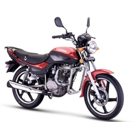 LIFAN LF150-13 2023-